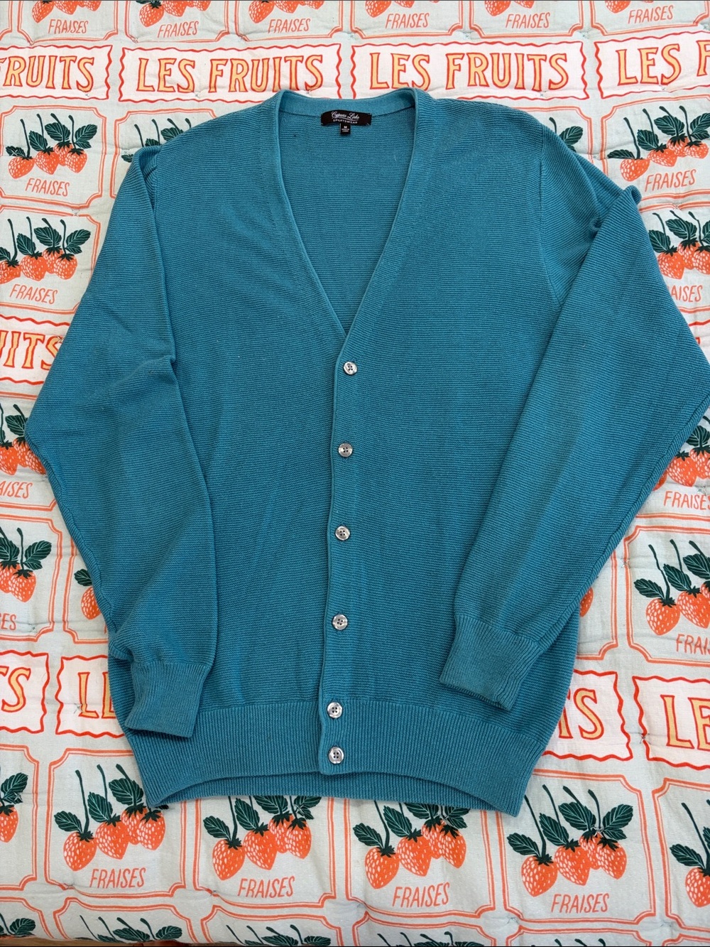 Men's Teal V-Neck Button Front Cardigan Sweater